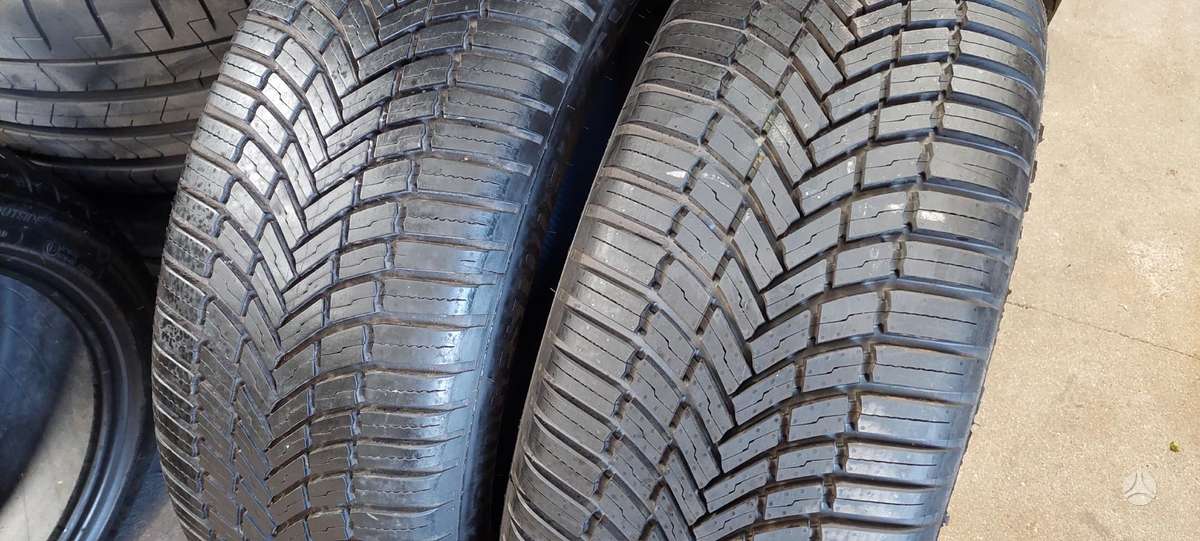 Bridgestone, всесезонные 225/55 R19