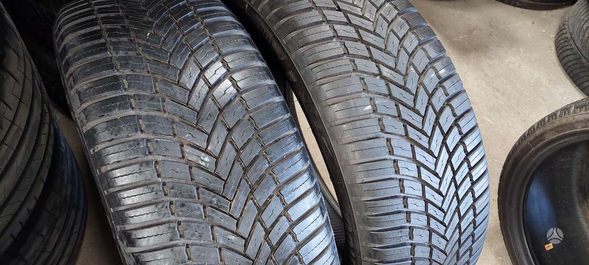 Bridgestone, all-season 225/55 R19