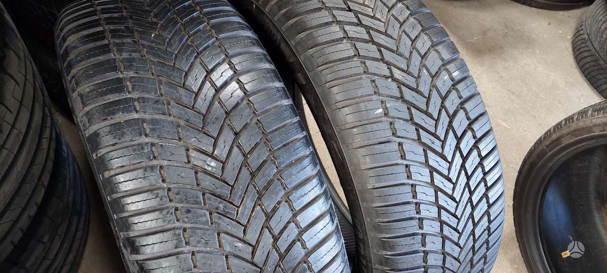 Bridgestone, всесезонные 225/55 R19