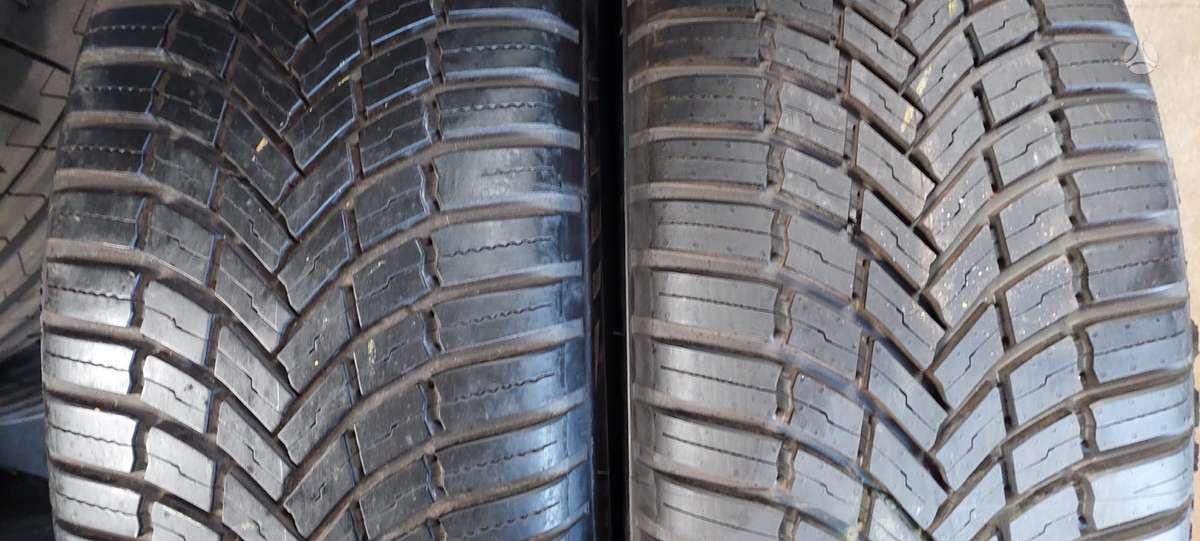 Bridgestone, all-season 225/55 R19