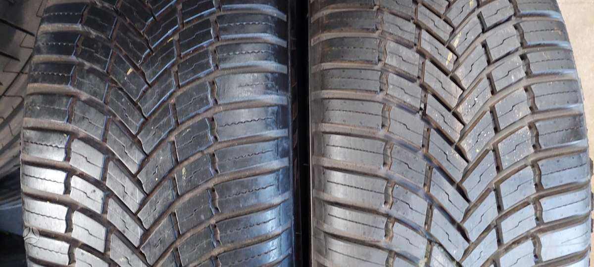 Bridgestone, всесезонные 225/55 R19