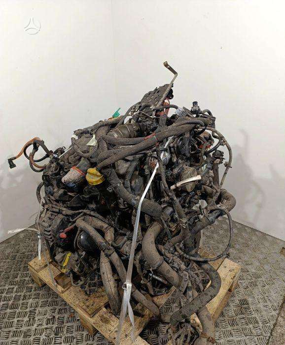 Renault Kangoo, K9K 628, engine