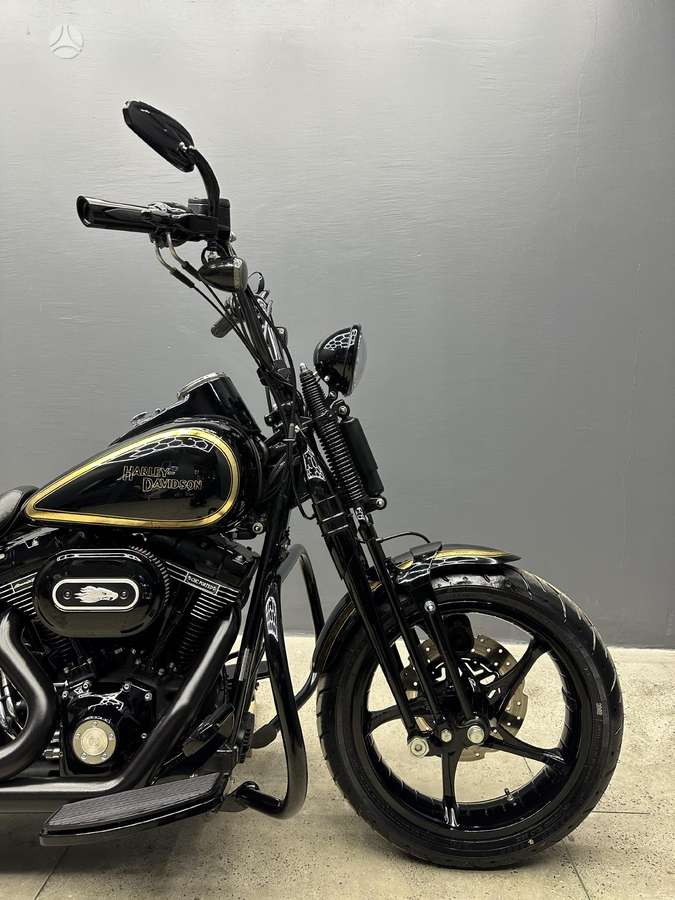 Harley-Davidson Springer, чопперы / круизеры / custom
