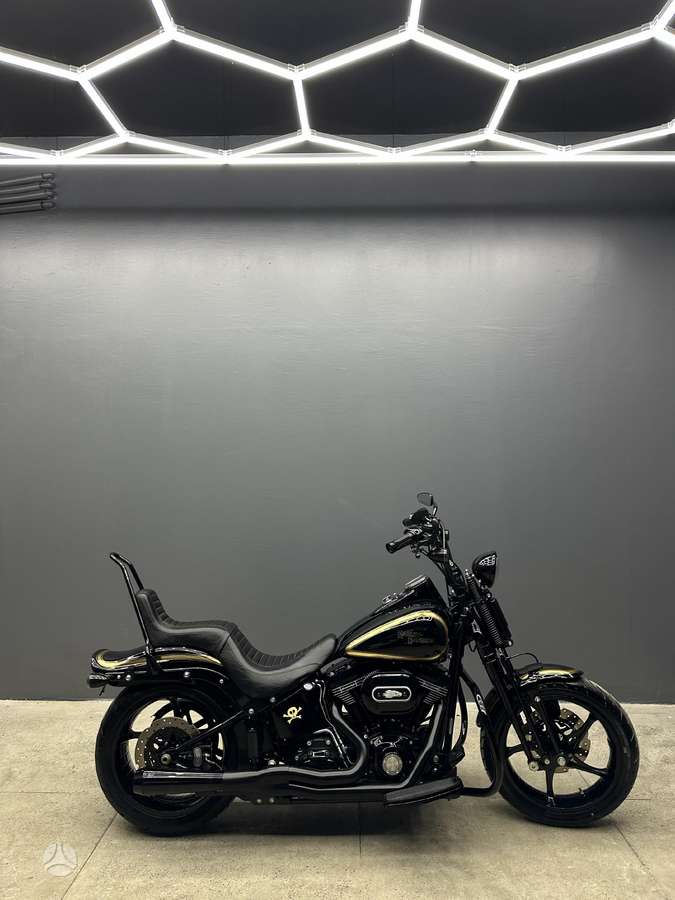 Harley-Davidson Springer, чопперы / круизеры / custom