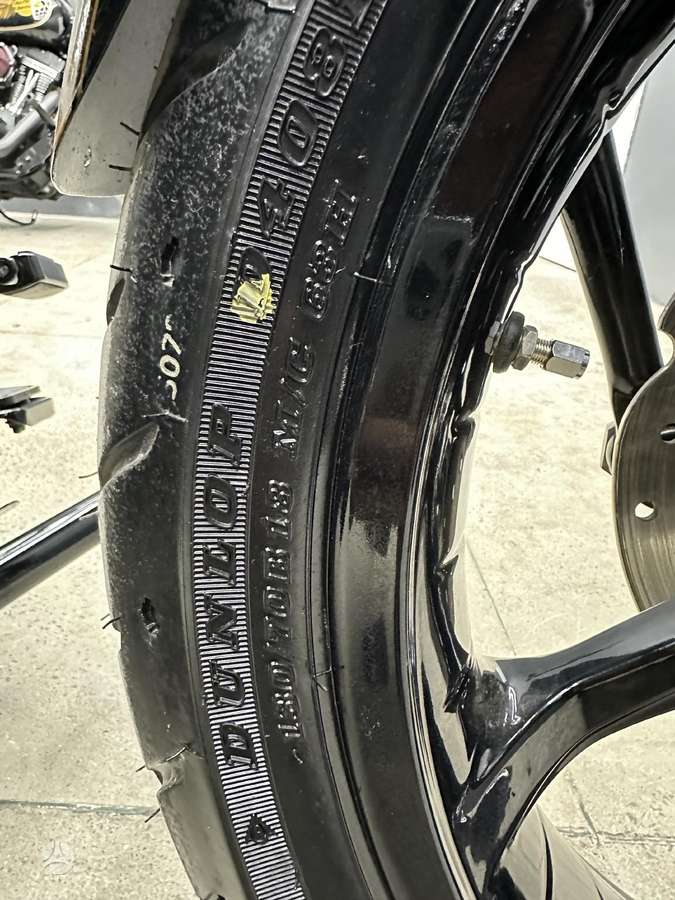 Harley-Davidson Springer, choppers