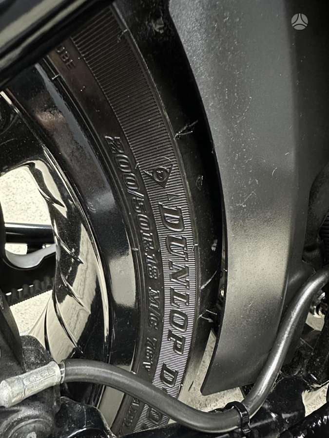 Harley-Davidson Springer, choppers / cruisers / custom