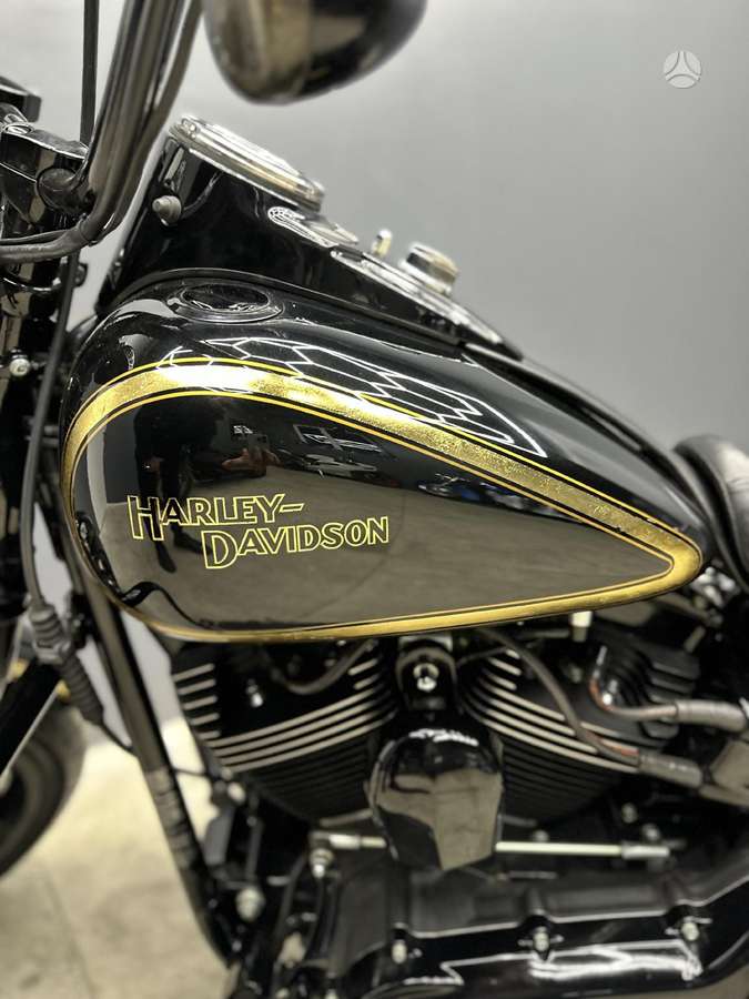 Harley-Davidson Springer, чопперы / круизеры / custom