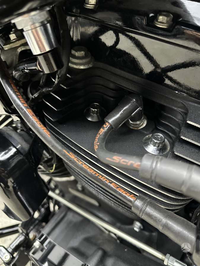 Harley-Davidson Springer, чопперы / круизеры / custom