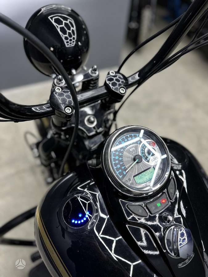 Harley-Davidson Springer, choppers