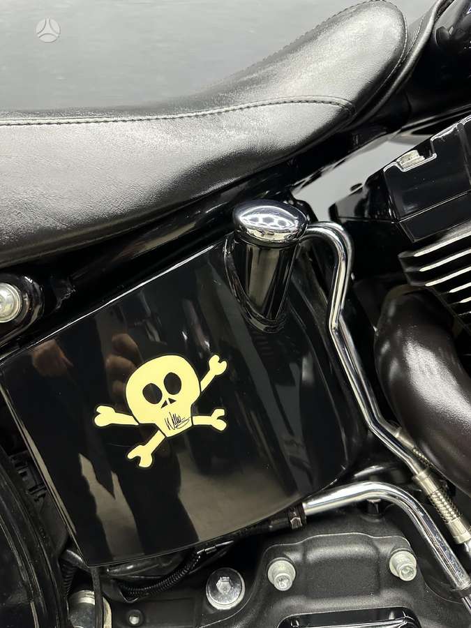 Harley-Davidson Springer, чопперы / круизеры / custom
