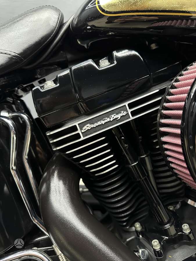 Harley-Davidson Springer, чопперы / круизеры / custom