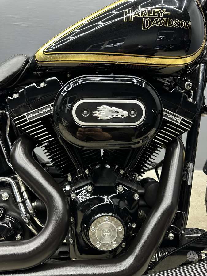 Harley-Davidson Springer, choppers