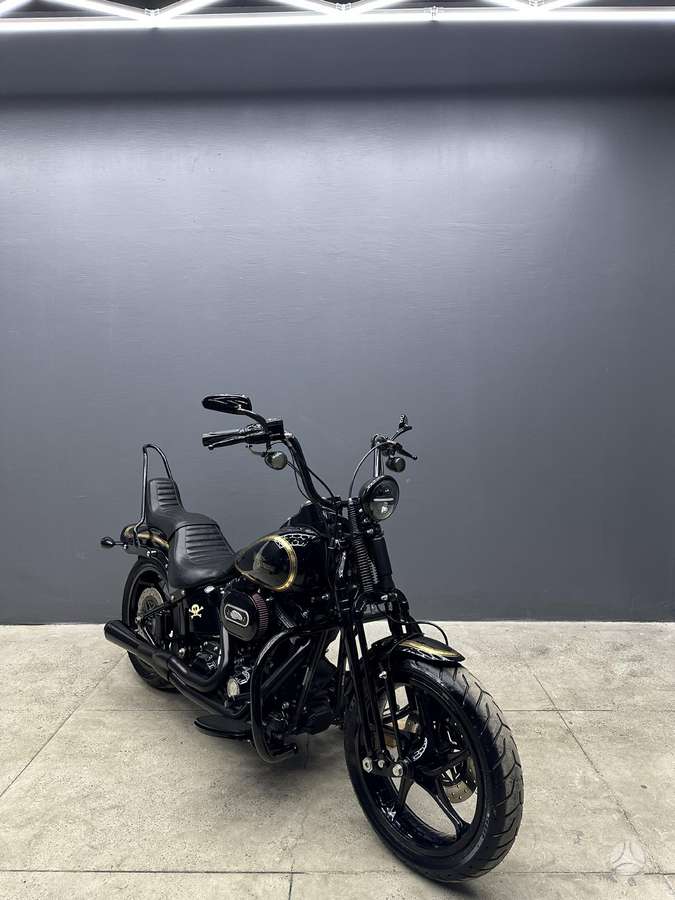 Harley-Davidson Springer, choppers