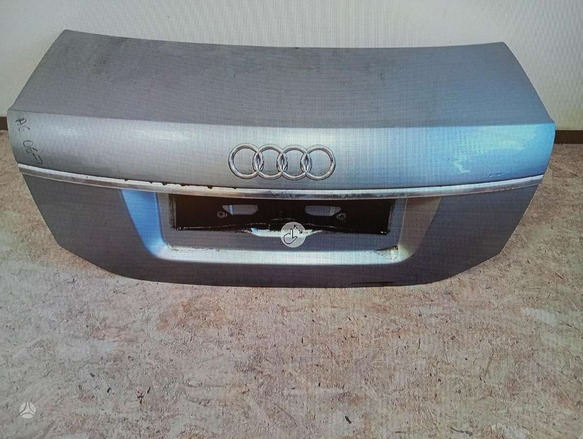 Audi A6 dangtis (priekinis, galinis), sparnai