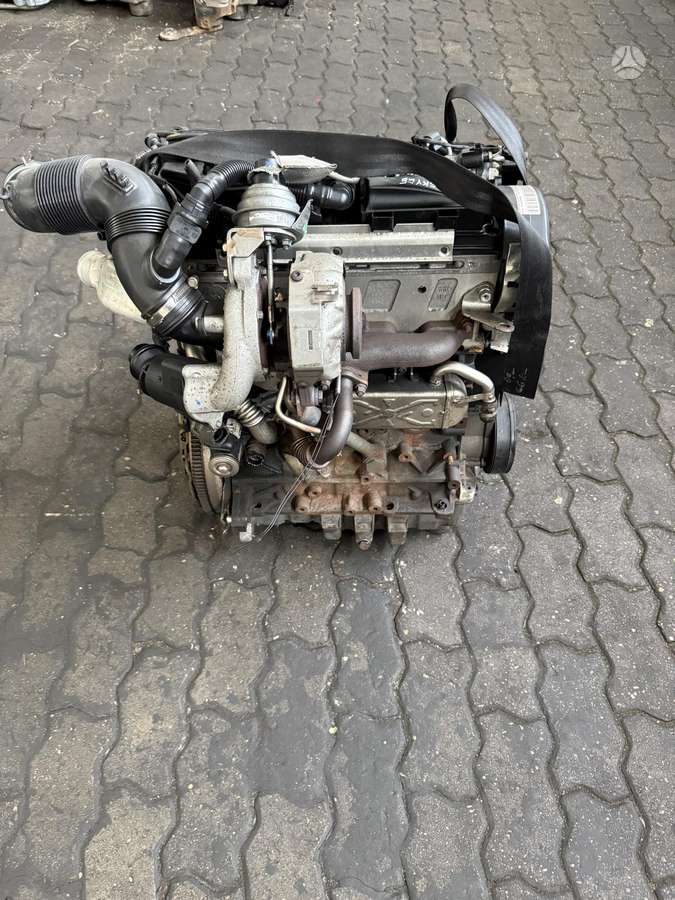 Volkswagen Golf, CAY, variklis
