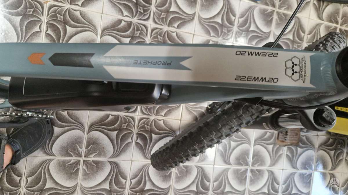 Electric bike Prophete 29″