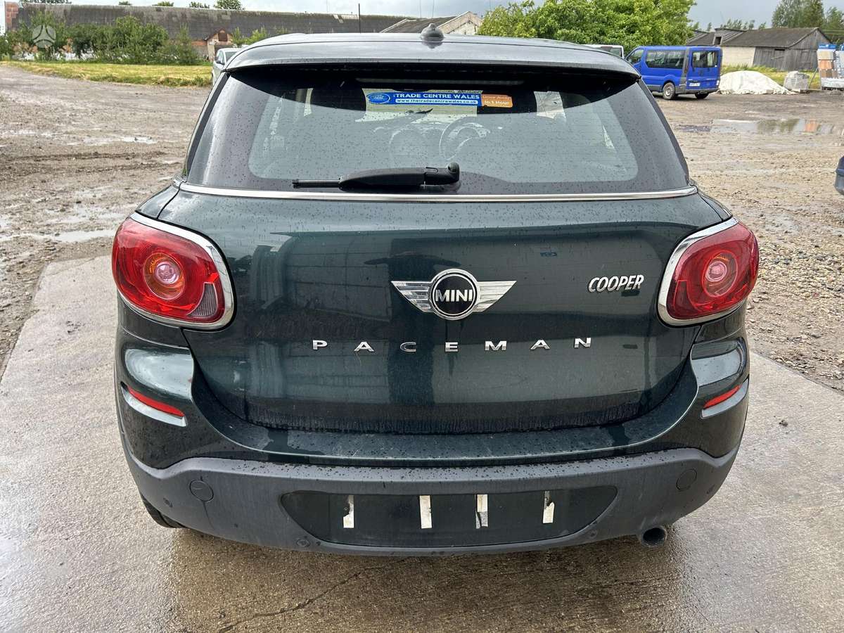 Mini Paceman