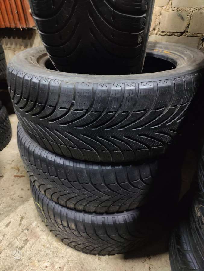 BF Goodrich, winter 205/55 R16