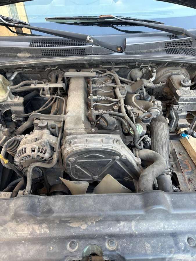Kia Sorento dalimis