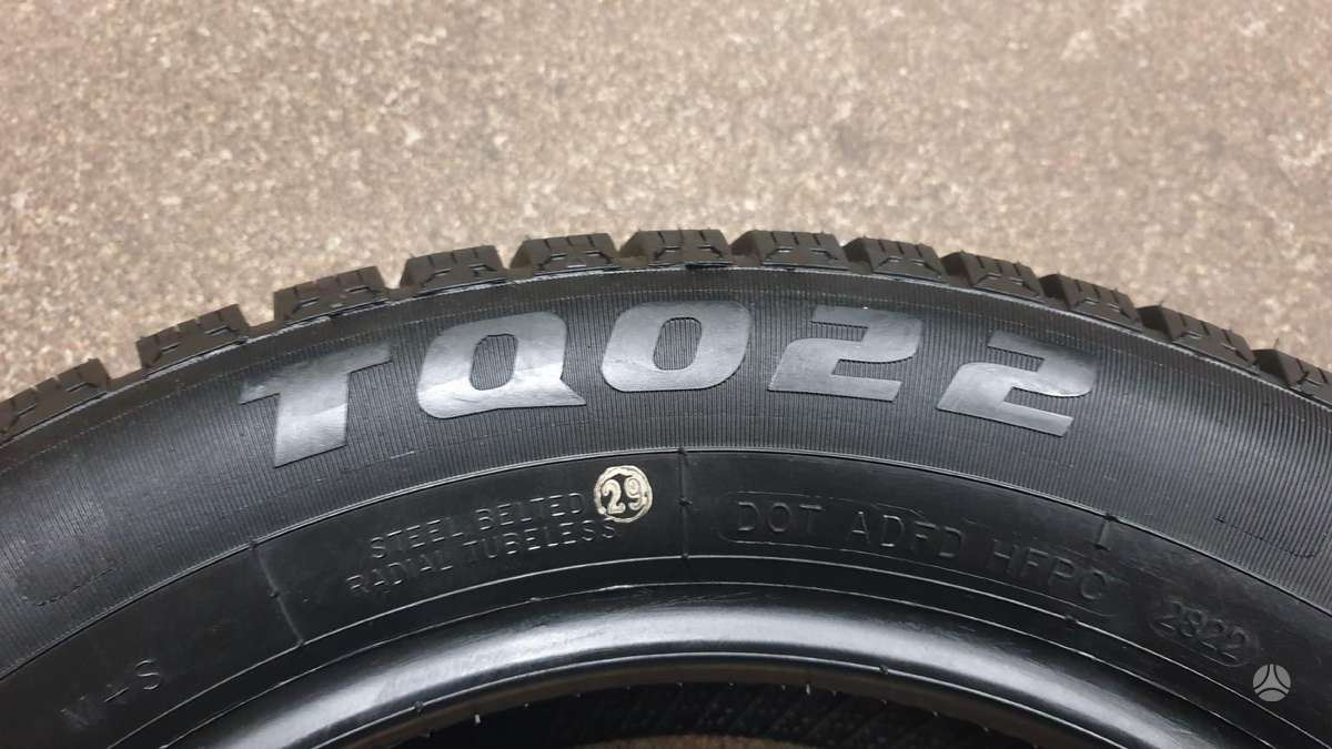 Torque TQO22 NAUJA, winter 175/65 R15