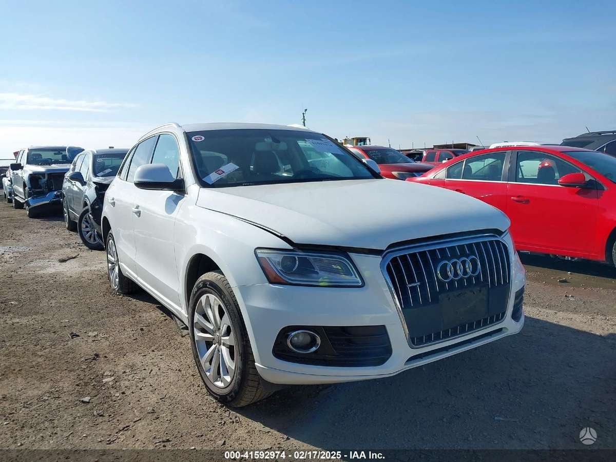 Audi Q5 dalimis. Usa dalimis