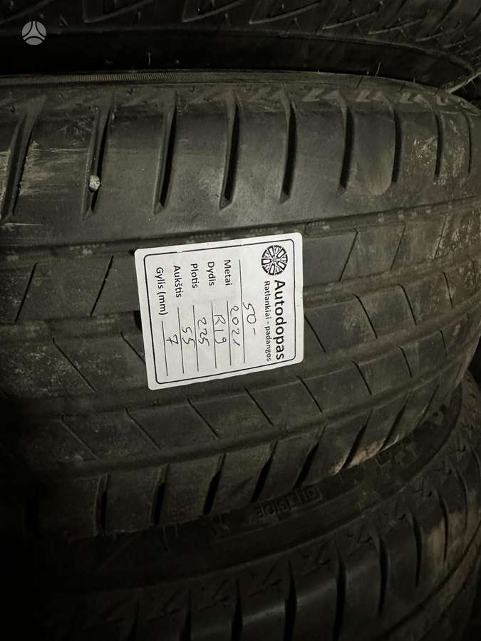 Bridgestone, summer 225/55 R19