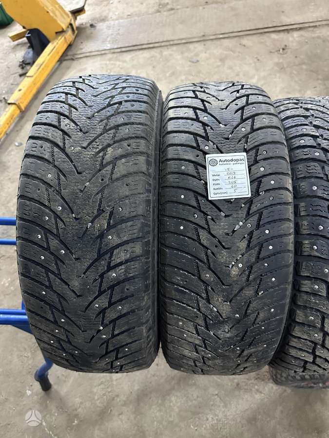 Nankang, winter 205/60 R16