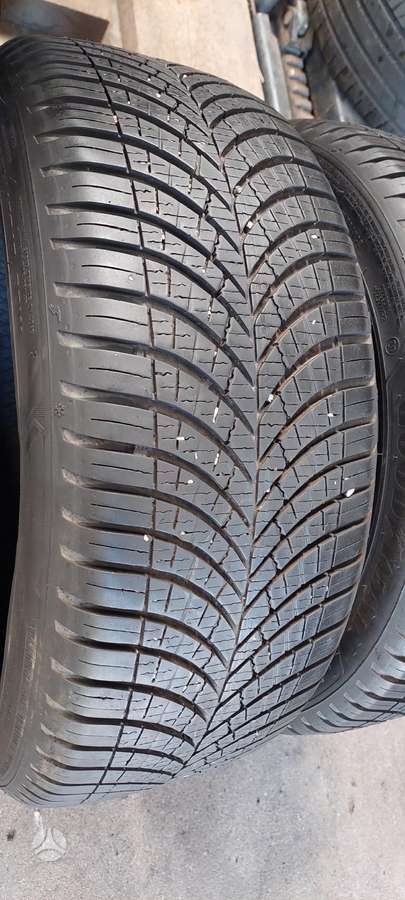 Goodyear, universalios 205/45 R17