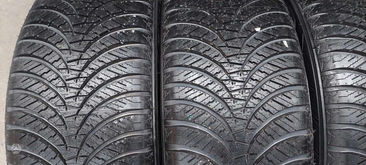 Falken, universalios 205/55 R17