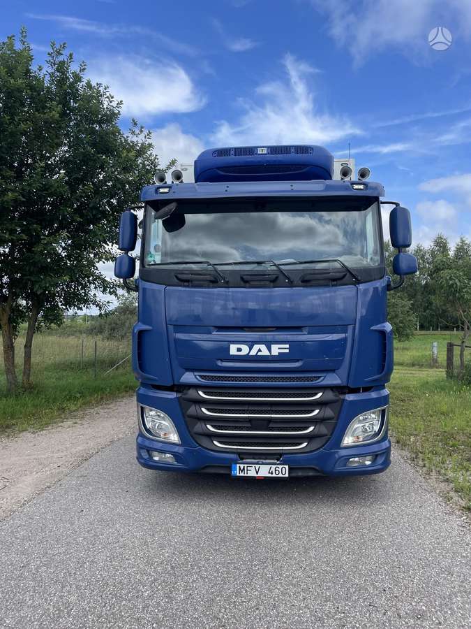 DAF XF, refrigerated trucks