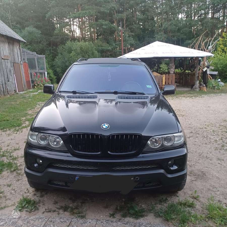 BMW X5 по частям. Dalimis