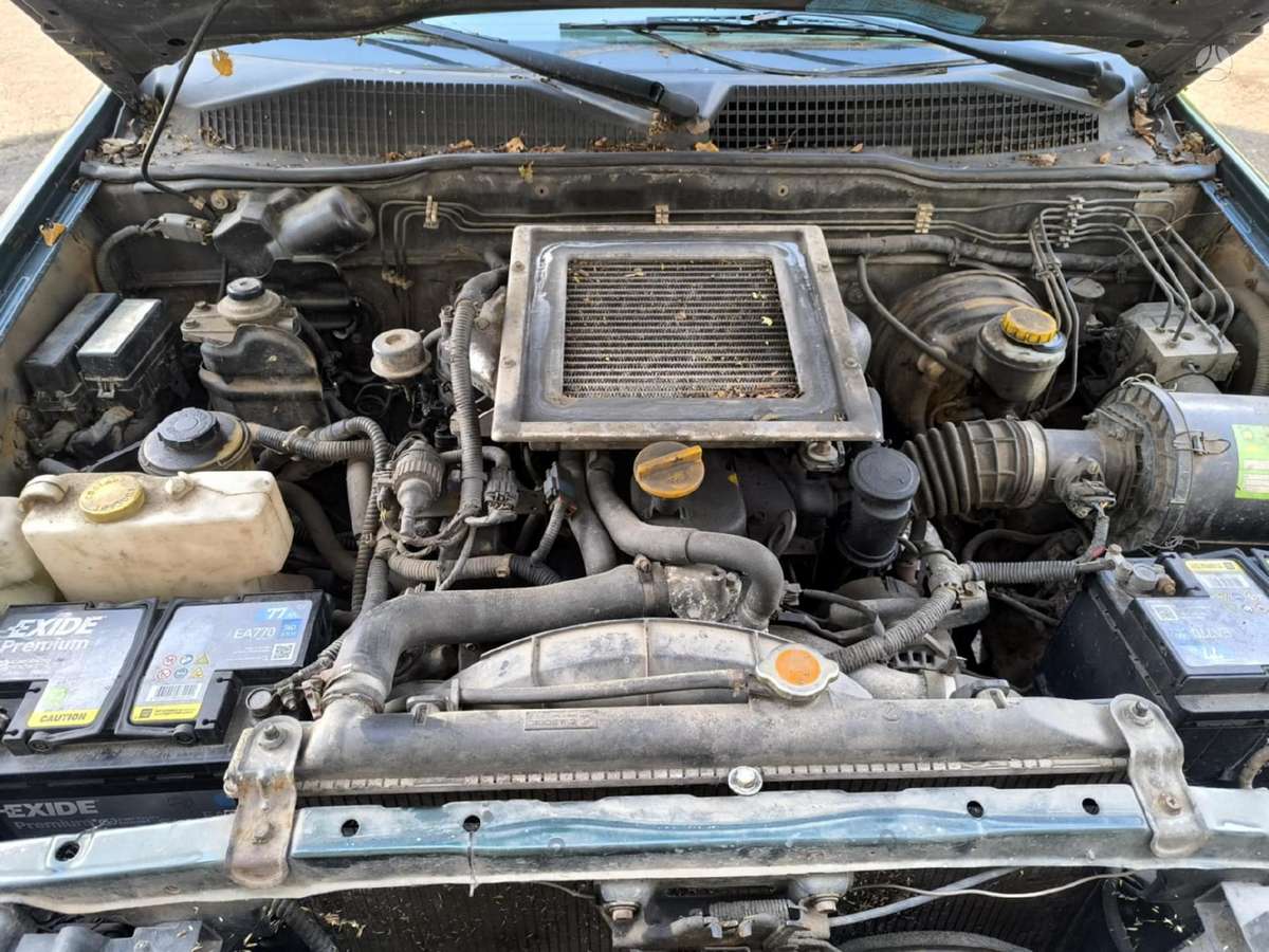 Nissan Terrano Dalis pristatome