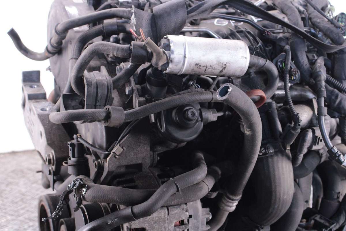 Volkswagen Passat, CBD, Variklis cbd