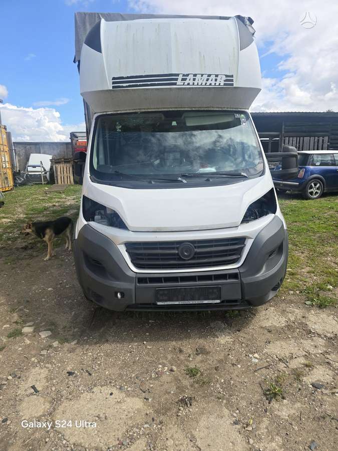 Fiat DUCATO, cargo vans