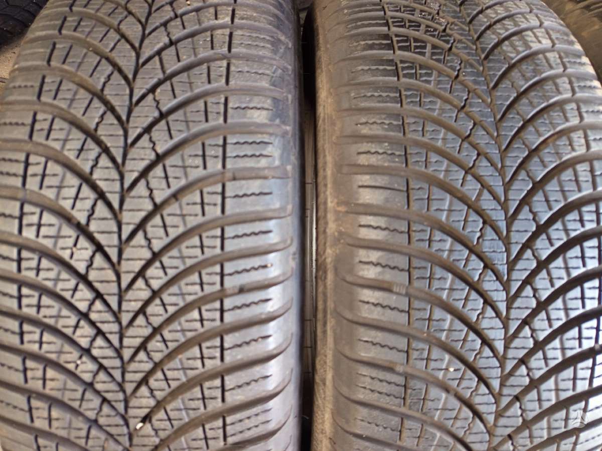 Goodyear, universalios 205/55 R16