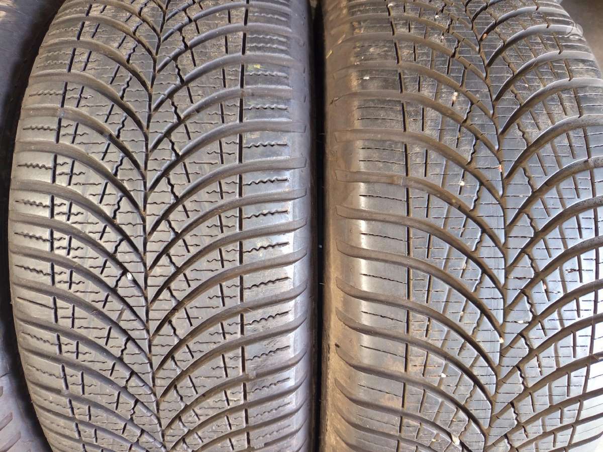 Goodyear, universalios 205/55 R16