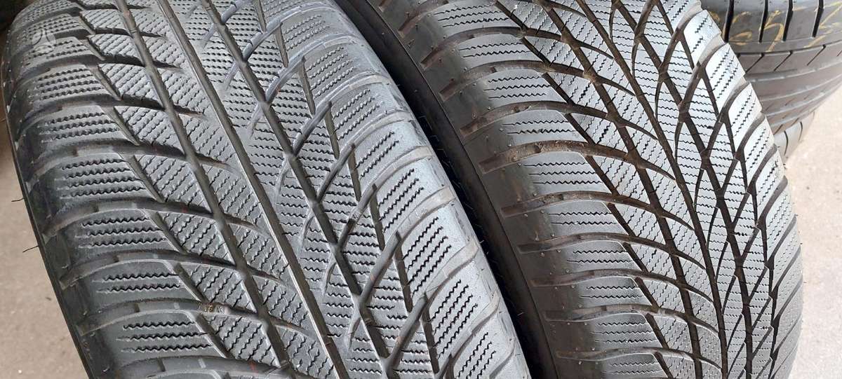 Bridgestone, winter 225/55 R17