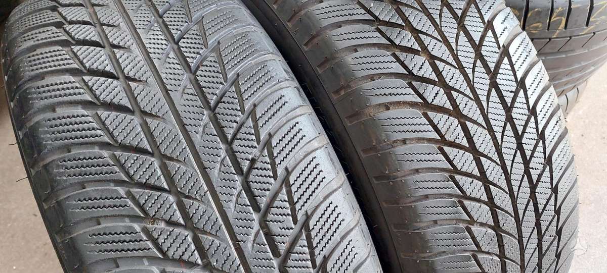 Bridgestone, žieminės 225/55 R17