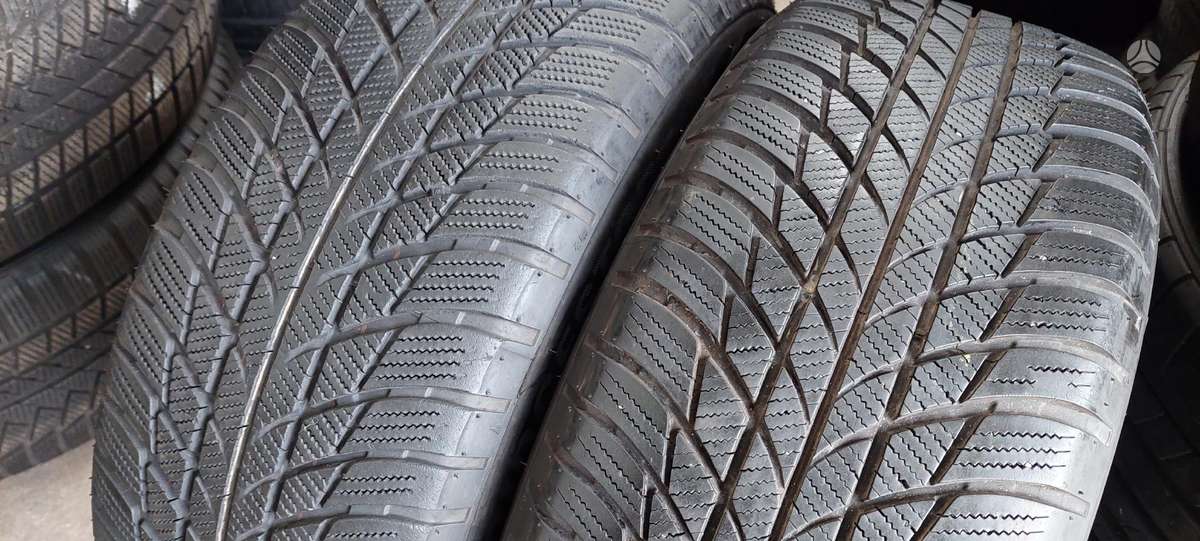 Bridgestone, winter 225/55 R17