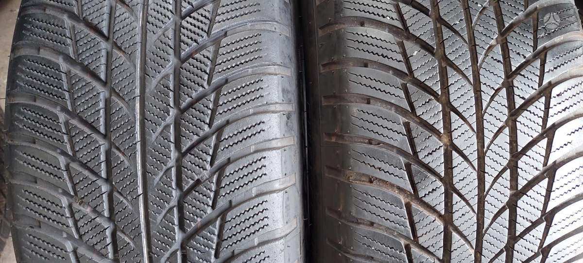 Bridgestone, winter 225/55 R17