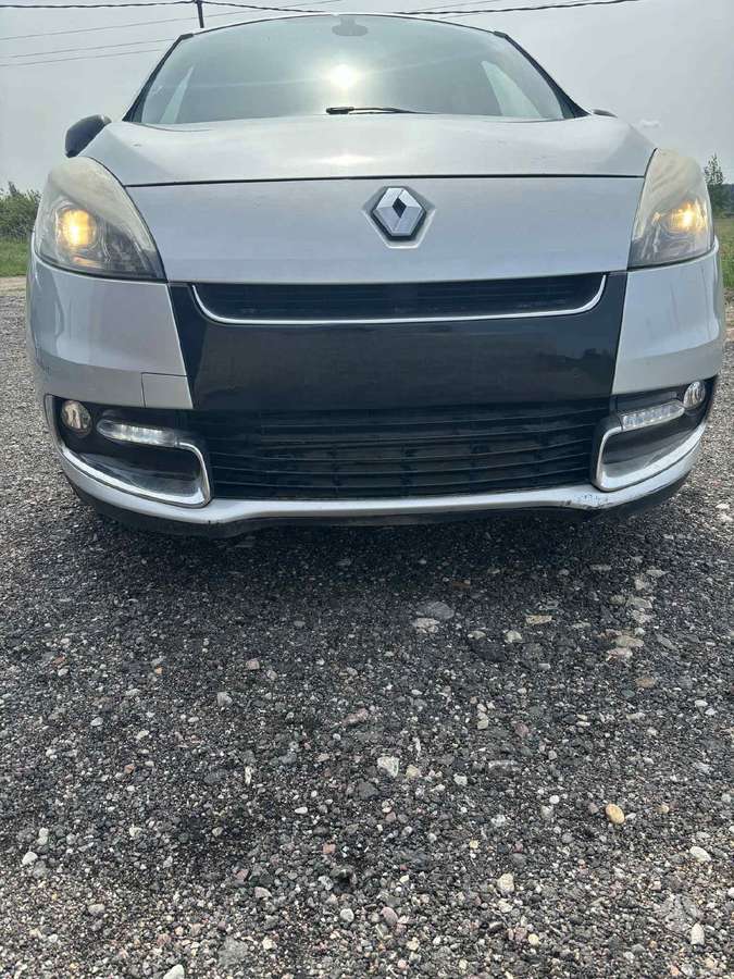 Renault Scenic dalimis