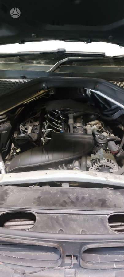 BMW X5 Dalimis