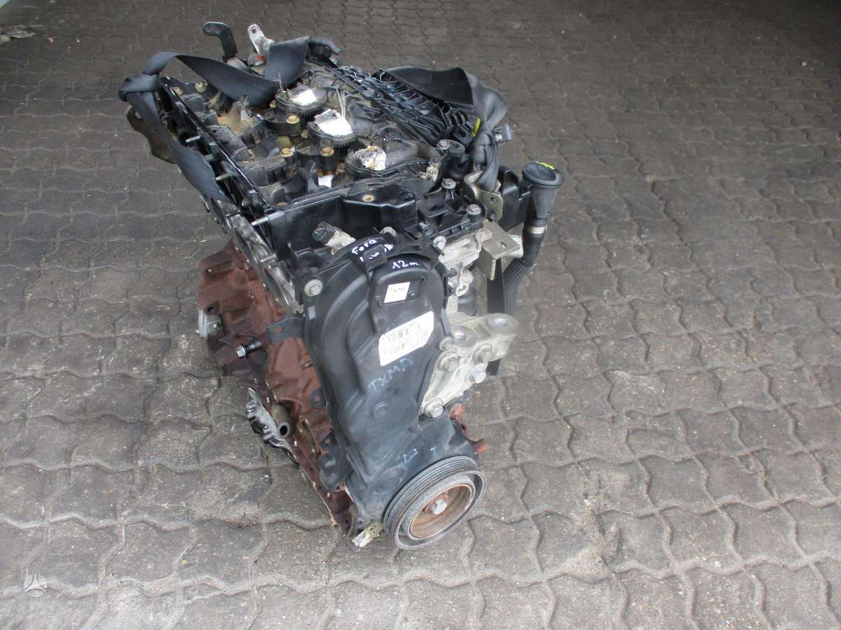 Ford Kuga Variklis 2 0d txma
