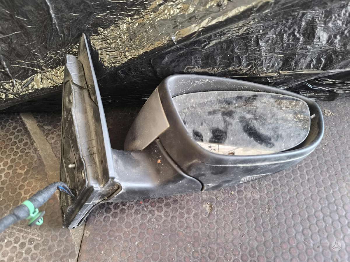 Volkswagen Passat mirrors