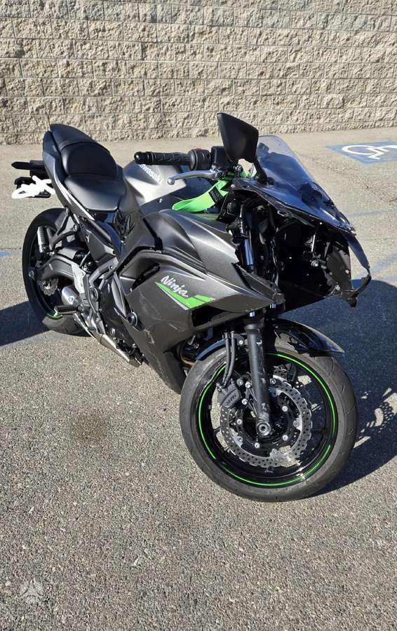 Kawasaki Ninja, спортбайки / superbikes