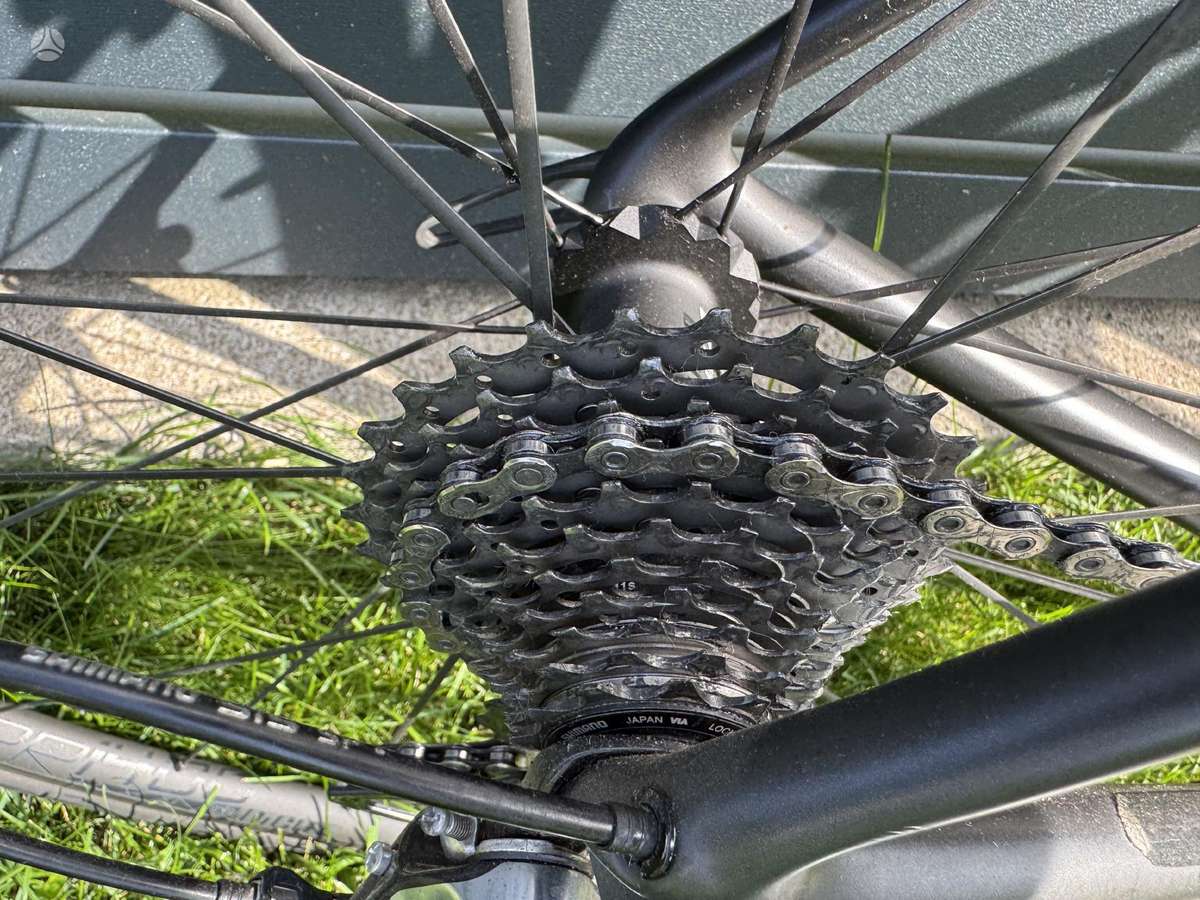 Plento, sportinis dviratis Trek