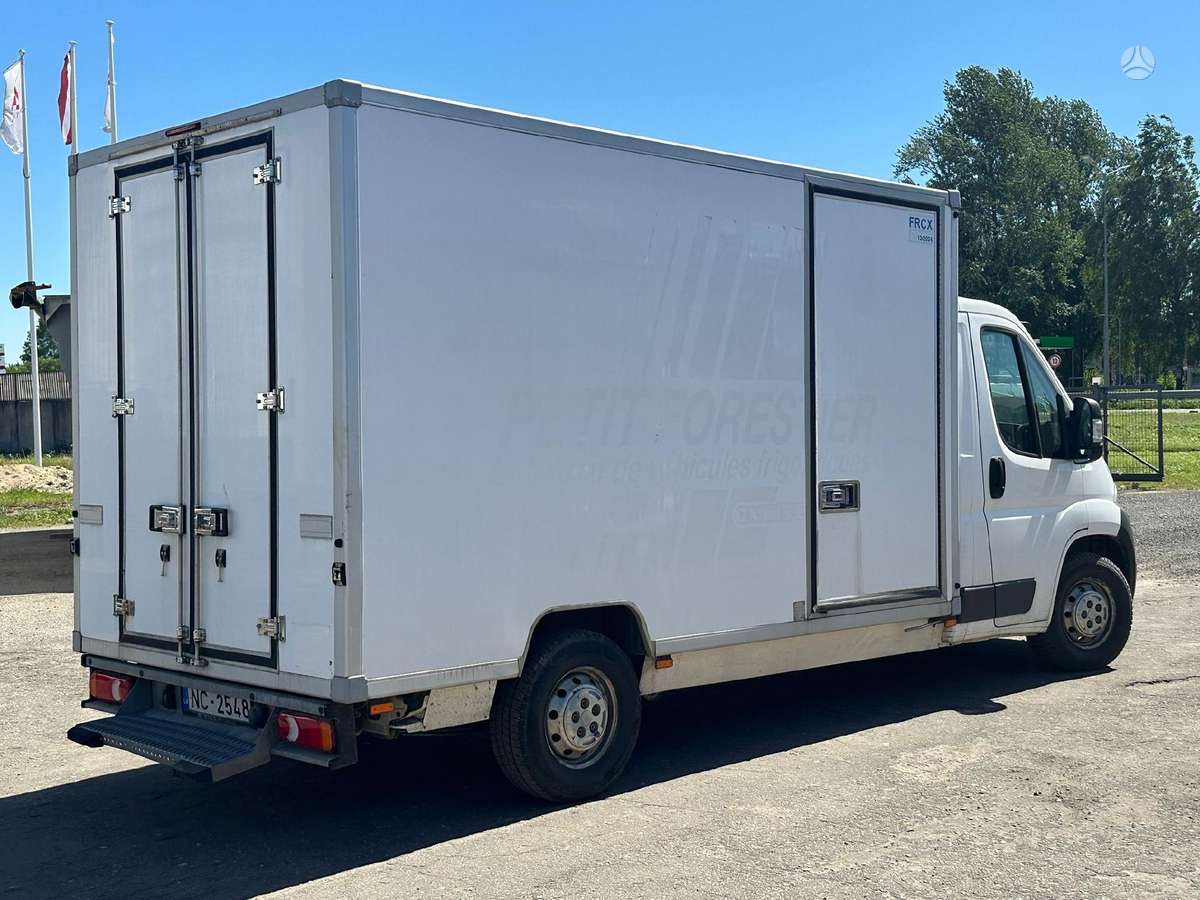 Fiat Ducato, cargo van