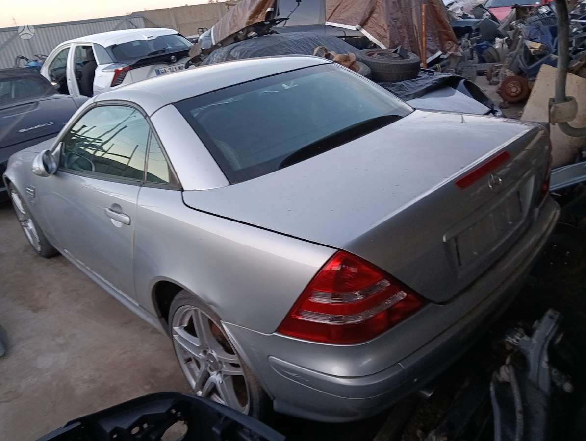 Mercedes-Benz SLK300 dalimis