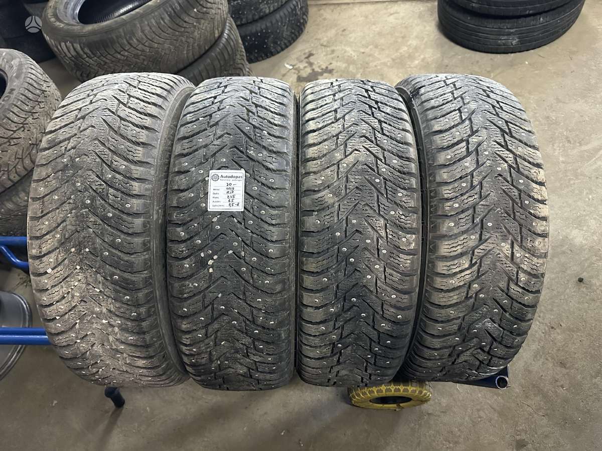 Nokian, žieminės 225/65 R17
