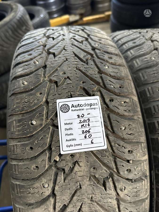 Bridgestone, winter 205/60 R16